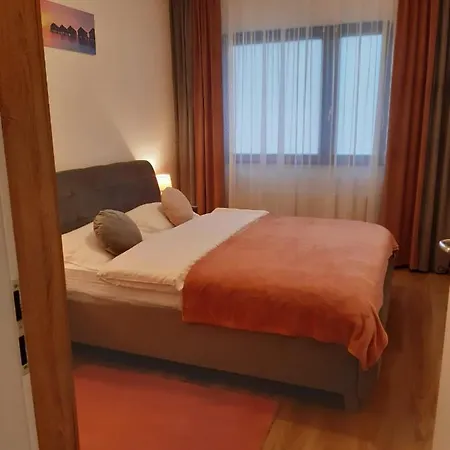 Esthetic Apartament Брашов